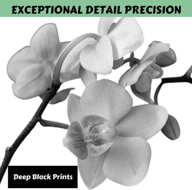 Alt view image 5 of 5 - CF279X / 79X Compatible 3 Toners High Yield of CF279A / 79A Each Yield 2,000 Pages for HP LaserJet Pro M12 , M12a , M12w and MFP M26 , MFP M26a , MFP M26nw