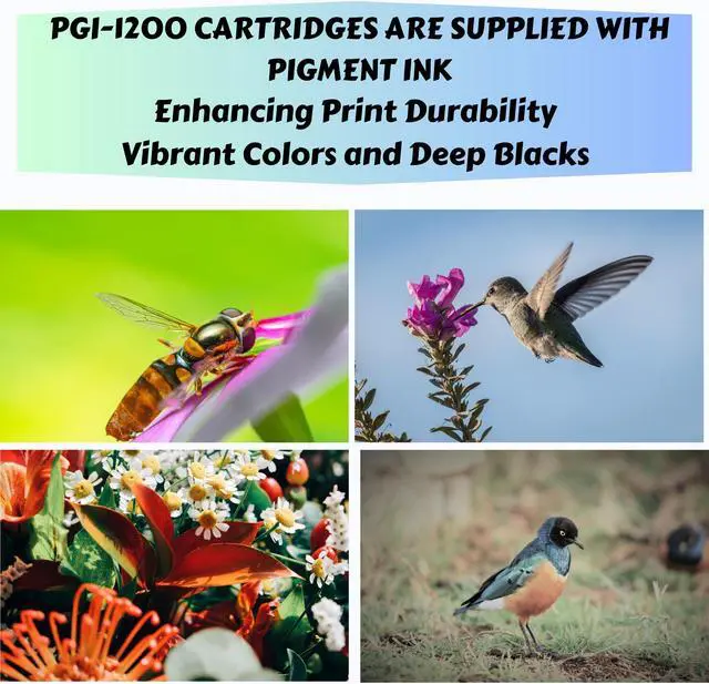 Alt view image 3 of 4 - PGI-1200 XL Compatible 2 Sets (Pigment Ink) 8 Ink Cartridges 2 BK, 2 Cyan, 2 Magenta, & 2 Yellow High Yield PGI 1200 for MAXIFY Printers MB2320 MB2020 MB2350 MB2050 MB2120 MB2720