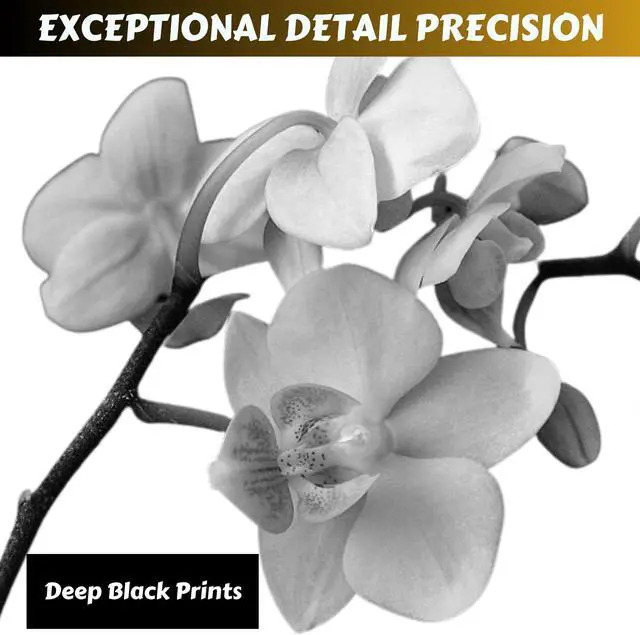 Alt view image 4 of 4 - Compatible 2 Toner Cartridges for T650H21A / T650H11A / T650A11A Each Yield 25000 Pages for T650 T652 T654 T656 for Lexmark T650DN T650DTN T650N T652 T652DN T652DTN T654 T654DN T654DTN T656 T656DNE