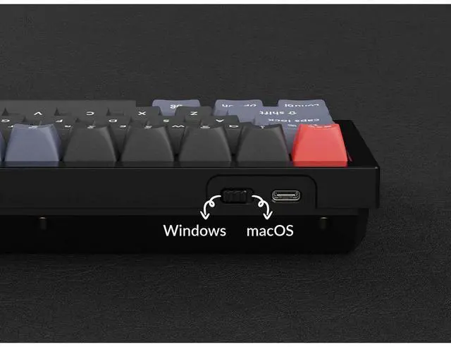 Alt view image 3 of 3 - KEYCHRON Q4 Blue - Gateron Pro Brown