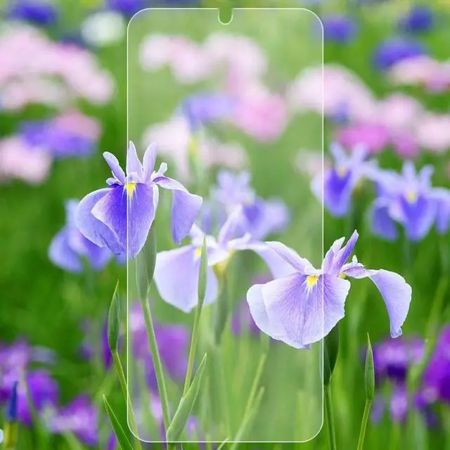 Alt view image 6 of 6 - Tempered Glass Screen Protector for Samsung Galaxy A12, A13, A32, A42, A04, A04s