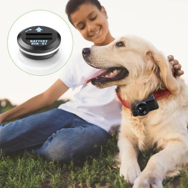 Alt view image 4 of 7 - EBL 10 Pcs RFA-67 6 Volt Pet Collar Replacement Batteries for PIF-300 RF300 PIF-275-19 PRF-3004W PUL-250