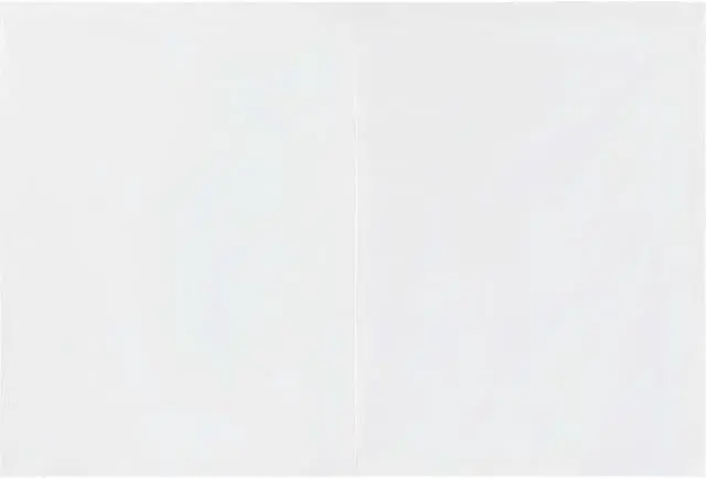 Main image of vidaXL Party Tent Sidewall 2 Pcs Patio Canopy Sidewall with Zipper PE White