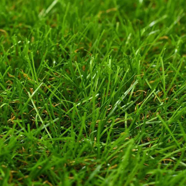 Alt view image 2 of 9 - vidaXL Artificial Grass Fake Grass Artificial Turf Carpet 4.9'x32.8'/1.6" Green