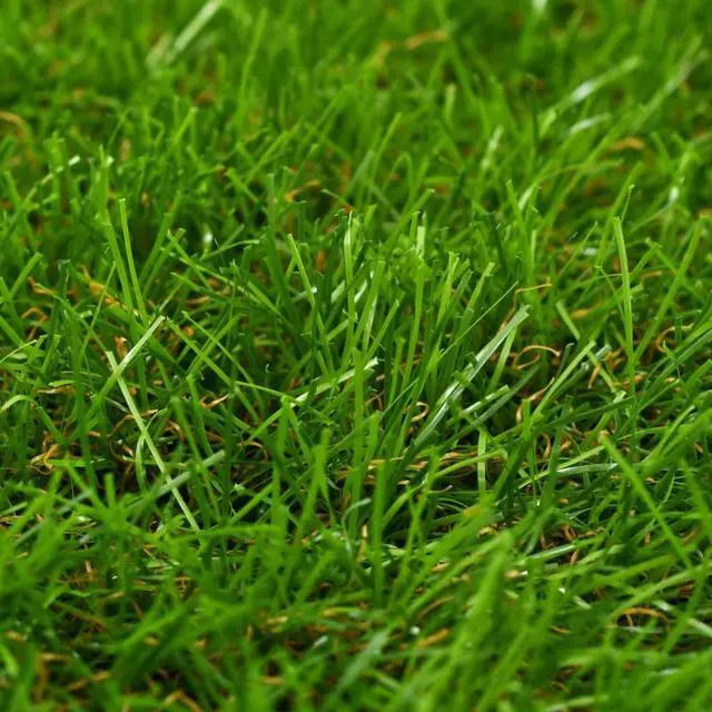 Alt view image 2 of 9 - vidaXL Artificial Grass Fake Grass Artificial Turf Carpet 3.3'x32.8'/1.6" Green