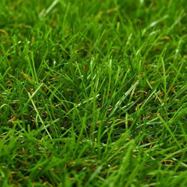 Alt view image 8 of 9 - vidaXL Artificial Grass Fake Grass Artificial Turf Carpet 4.9'x32.8'/1.6" Green