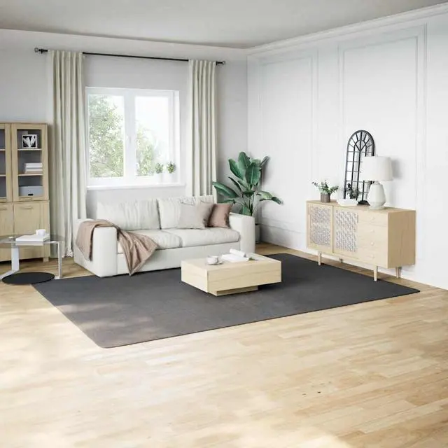 Main image of vidaXL 8x11 Ft Rectangular Shaggy Rugs, Fluffy Carpets with Anti-Slip Backing, Indoor Modern Plush Area Rugs for Living Room Bedroom Hallway, Easy-Maintenance Home Decor, Anthracite