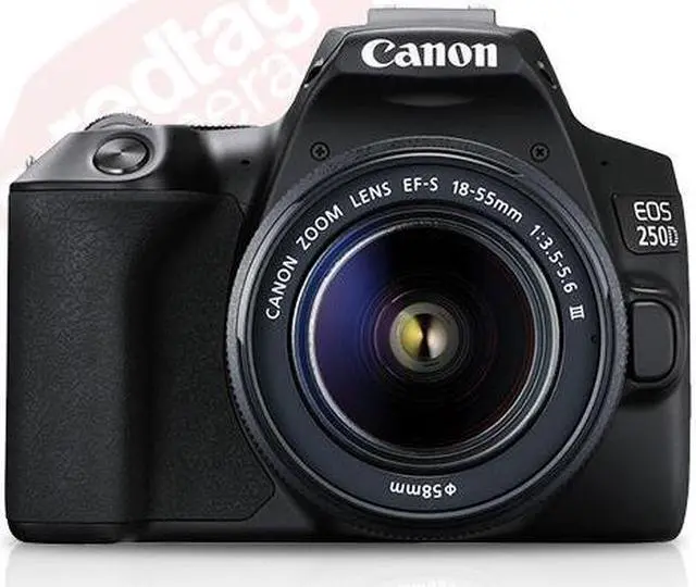 Alt view image 7 of 12 - Canon EOS 250D / SL3 with EF-S 18-55mm f/3.5-5.6 III Lens (Black)