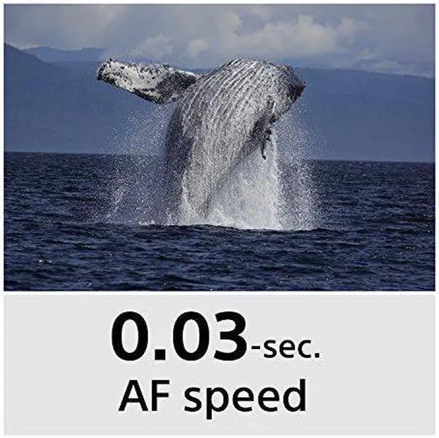 Alt view image 4 of 4 - Sony Cyber?Shot RX10 IV with 0.03 Second Auto-Focus & 25x Optical Zoom (DSC-RX10M4)