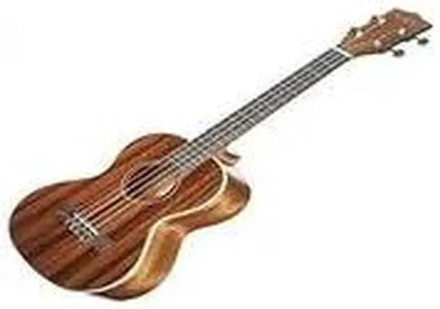 Alt view image 2 of 3 - Kala KA-TG Gloss Tenor Ukulele, Natural