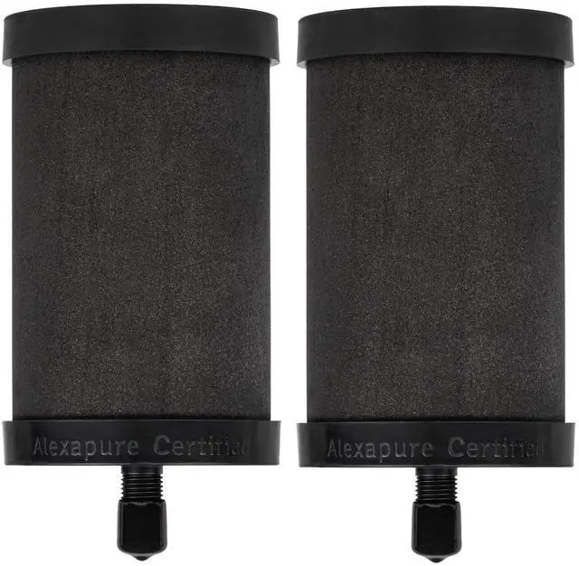 Main image of Alexapure Pro Filter Replacement 2 pack Filter Pack, Black