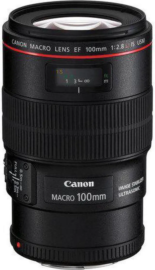 Alt view image 4 of 4 - Canon EOS 6D Mark II DSLR Camera (Body Only) 3 Piece Filter Bundle + Bonus EF 100mm f/2.8L Macro IS USM Lens - Intl Model