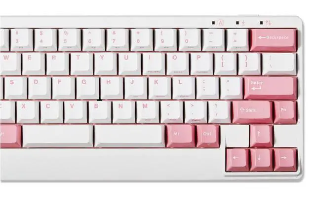 Alt view image 3 of 7 - Leopold FC650MDS White/Pink PD 65% Double Shot PBT Mechanical Keyboard Cherry MX Brown