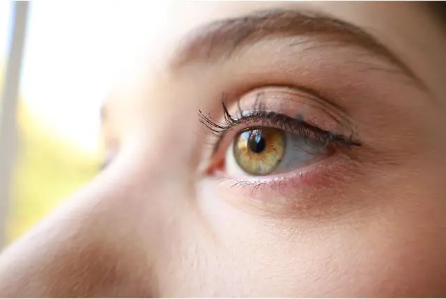 Alt view image 2 of 20 - Canon EOS RP Mirrorless Full Frame Camera RF 24-105mm F4-7.1 IS STM Lens Kit 3380C132