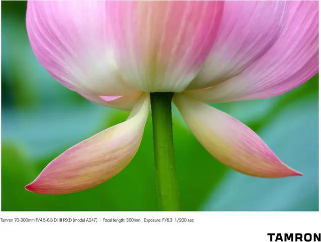 Alt view image 4 of 5 - Tamron 70-300mm F/4.5-6.3 Di III RXD Lens A047 f/ Sony E-mount Mirrorless Camera Bundle