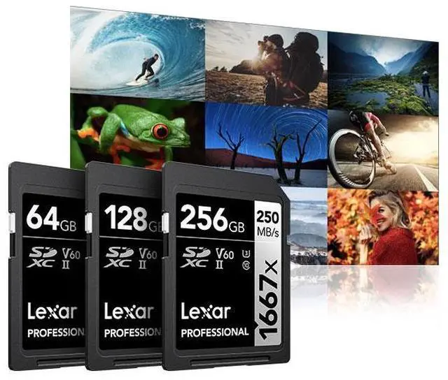 Alt view image 4 of 6 - Lexar Professional 1667x 64GB SDXC UHS-II Memory Card 2-Pack + USB-C Dual-Slot Reader