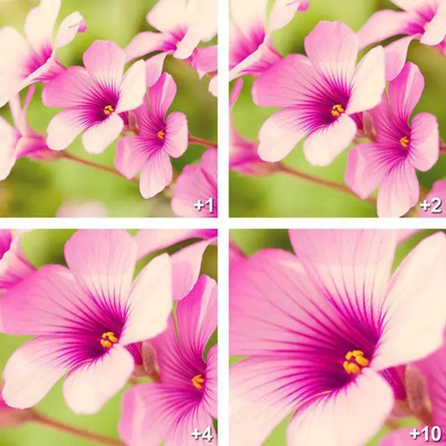 Alt view image 5 of 6 - Deco Gear 77mm 4pc HD Macro Close-Up Lens Filter Set +1 +2 +4 +10 with Protective Wallet