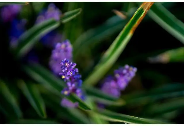 Alt view image 4 of 7 - Sigma 56mm F1.4 DC DN C Contemporary Lens for Sony E-Mount 351965 Accessory Kit Bundle