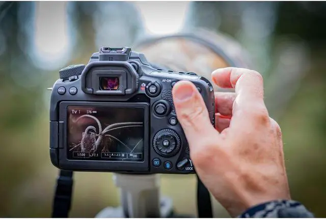 Alt view image 5 of 20 - Canon EOS 90D 32.5MP APS-C CMOS Sensor Digital SLR Camera (Body)