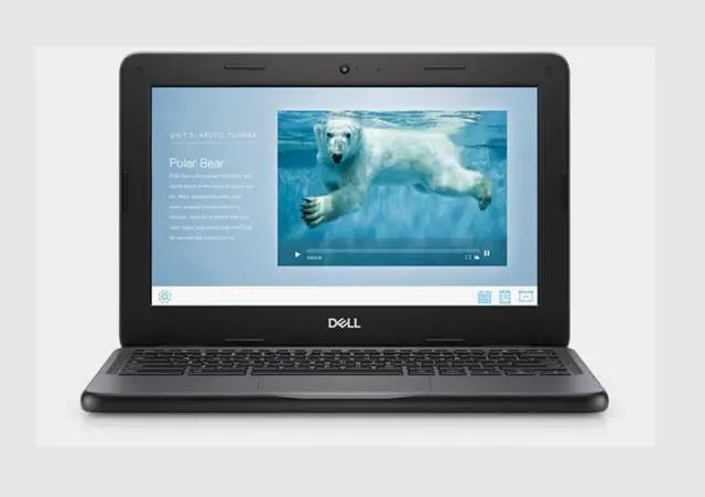 Main image of Dell Chromebook 3100 11.6" Celeron 1.1GHz 8GB RAM 32GB SSD P30T001