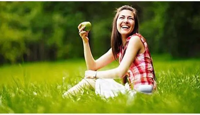 Alt view image 3 of 17 - Terminix ALLCLEAR SideKick Mosquito Repeller Kit