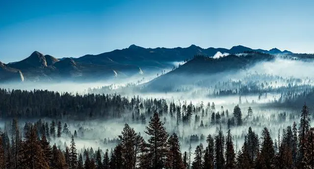 Alt view image 9 of 13 - Sigma 24-70mm f/2.8 DG OS HSM Art Lens for Nikon F