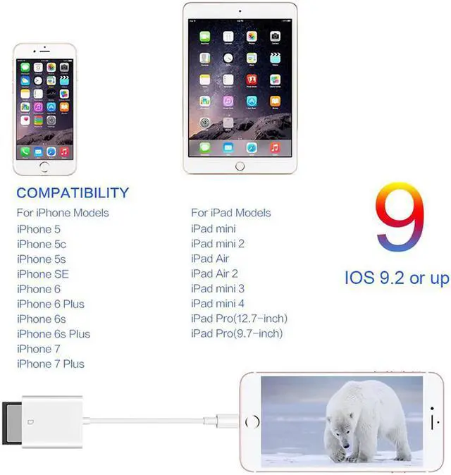 Alt view image 4 of 5 - Enlabs 8PINCRSD Lightning SD Card Camera Reader Adapter for IOS 9.2 or up to 11, Trail Game Camera Viewer for iPhone 6 / 6s / 7 / 7Plus / 8/X /iPad Mini/Air- No App is Required