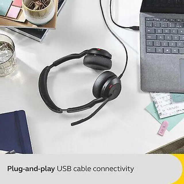 Alt view image 4 of 7 - Jabra Evolve2 50 - USB-C MS Stereo
