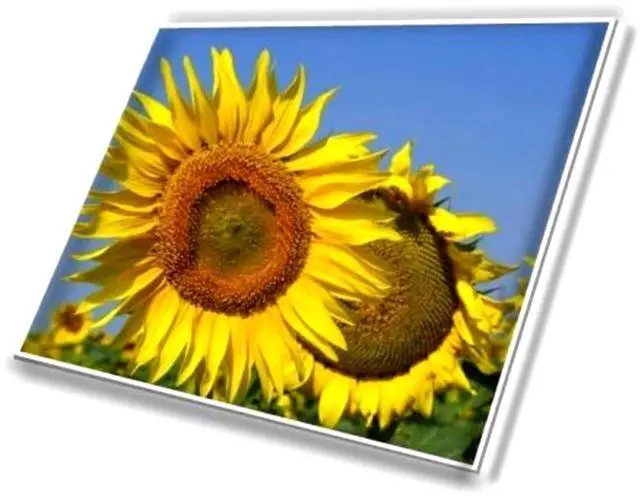 Alt view image 6 of 6 - M133NW4J R3 B133UAN01.2 Lenovo ThinkPad X13 Gen 2 1920x1200 Laptop LCD Screen