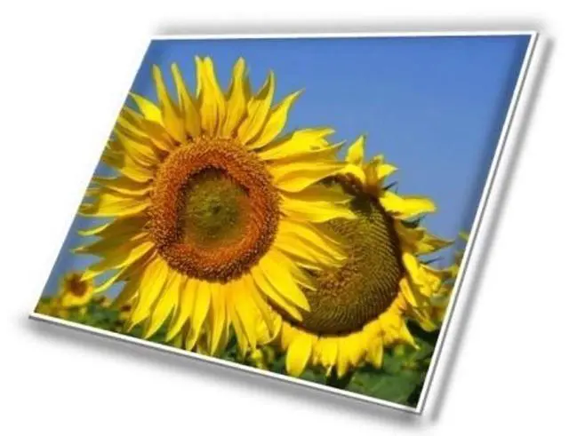 Alt view image 3 of 3 - LQ156M1JW26 15.6" for MSI GE66 RAIDER MS-1541 MS-15CK MS-1542 LCD Screen 240HZ