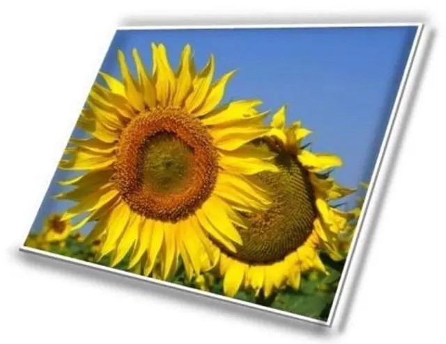 Alt view image 5 of 5 - OEM LED LCD Lenovo 5D11C74688 DISPLAY FRU BO NV156FHM-T07 V8.4 FHD TOUCH