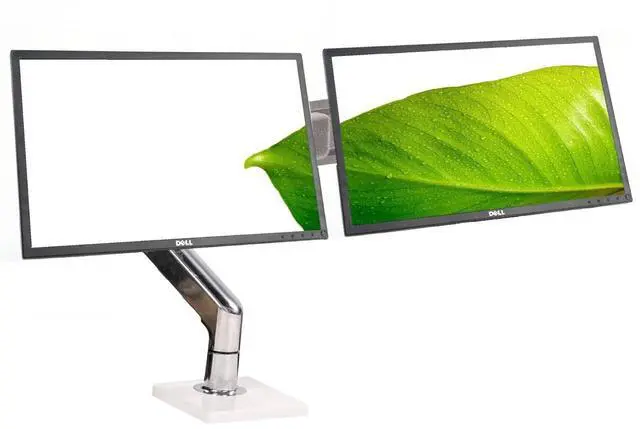 Main image of Dual Dell Professional P2217 22" Backlit Monitor & Adjustable Humanscale Stand