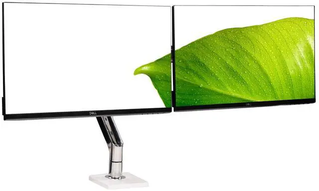 Main image of Dual Dell Professional P2217H 22" IPS FHD Monitor & Adjustable Humanscale Stand