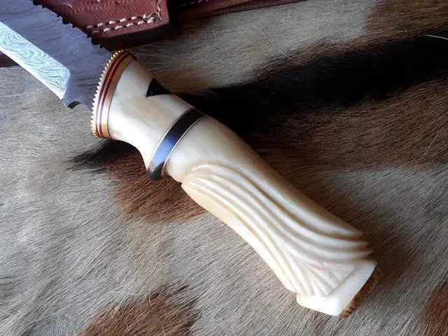 Alt view image 2 of 7 - 13" Long hand forged Damascus steel skinning knife, Engraved Camel bone scale crafted with engraved brass spacer and Camel bone scale hunting knife, Cow Leather sheath with belt loop White