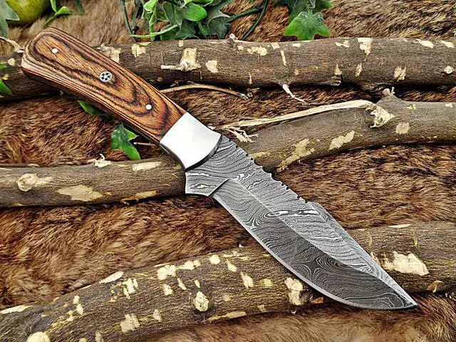 Alt view image 2 of 7 - 11" Long hand forged Damascus steel full tang blade skinning Knife, 2 tone brown Dollar wood with Brass bolster scale, Cow Leather sheath