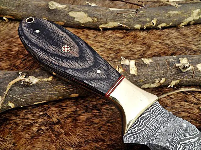 Alt view image 6 of 7 - 9" Long hand forged Damascus steel full tang skinning Knife with gut hook, 2 tone Dollar wood with Brass Bolster, Cow hide Leather sheath