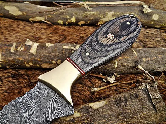 Alt view image 4 of 7 - 9" Long hand forged Damascus steel full tang skinning Knife with gut hook, 2 tone Dollar wood with Brass Bolster, Cow hide Leather sheath