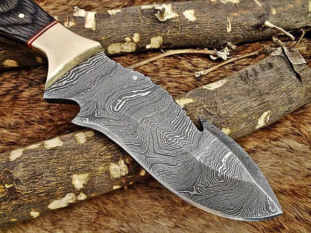 Alt view image 3 of 7 - 9" Long hand forged Damascus steel full tang skinning Knife with gut hook, 2 tone Dollar wood with Brass Bolster, Cow hide Leather sheath