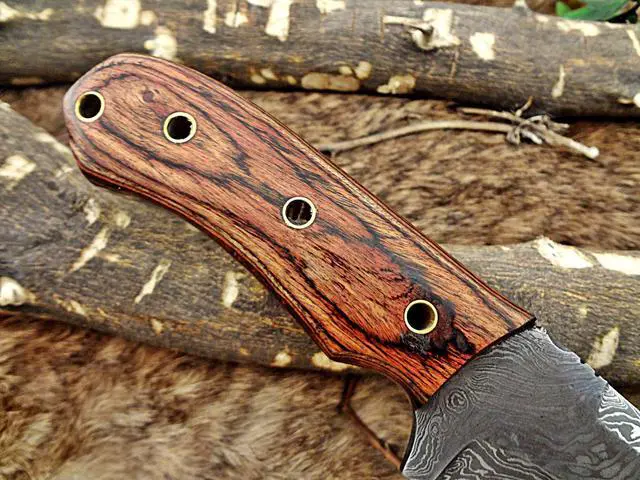 Alt view image 3 of 7 - 8.5" Long hand forged skinning Knife, 4.5" full tang hand forged Damascus steel coping blade, 2 tone dollar wood scale, Cow Leather sheath