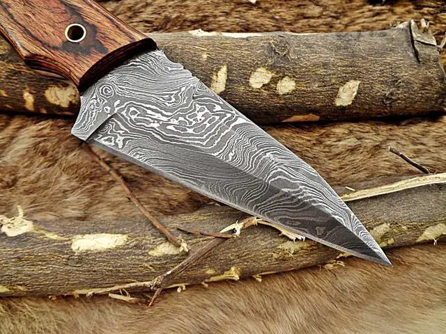 Alt view image 5 of 7 - 8.5" Long hand forged skinning Knife, 4.5" full tang hand forged Damascus steel coping blade, 2 tone dollar wood scale, Cow Leather sheath