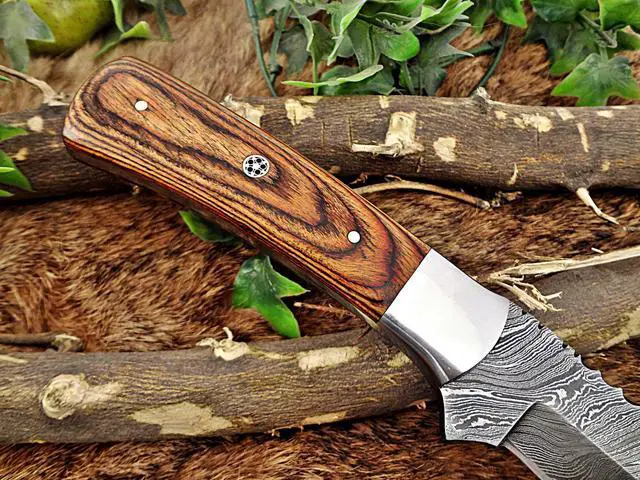 Alt view image 5 of 7 - 11" Long hand forged Damascus steel full tang blade skinning Knife, 2 tone brown Dollar wood with Brass bolster scale, Cow Leather sheath
