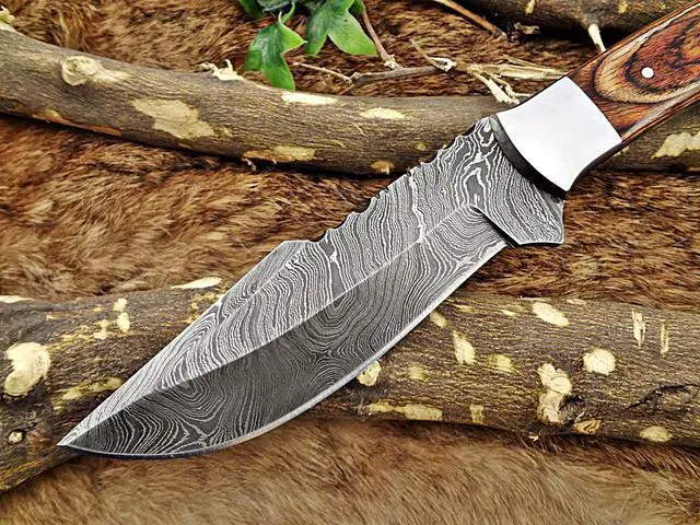 Alt view image 6 of 7 - 11" Long hand forged Damascus steel full tang blade skinning Knife, 2 tone brown Dollar wood with Brass bolster scale, Cow Leather sheath
