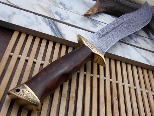 Alt view image 4 of 7 - 13 Inches long Damascus steel custom made hunting Bowie Knife, Red wood scale with brass finger guard and cap cow hide leather sheath