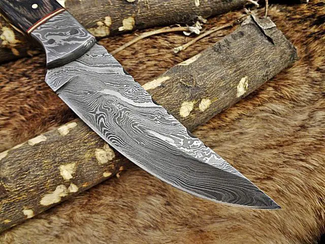 Alt view image 5 of 7 - 9.5" Long hand forged Damascus steel full tang blade skinning Knife, 2 tone black Dollar wood with Damascus bolster, Cow Leather sheath (Dollar wood)