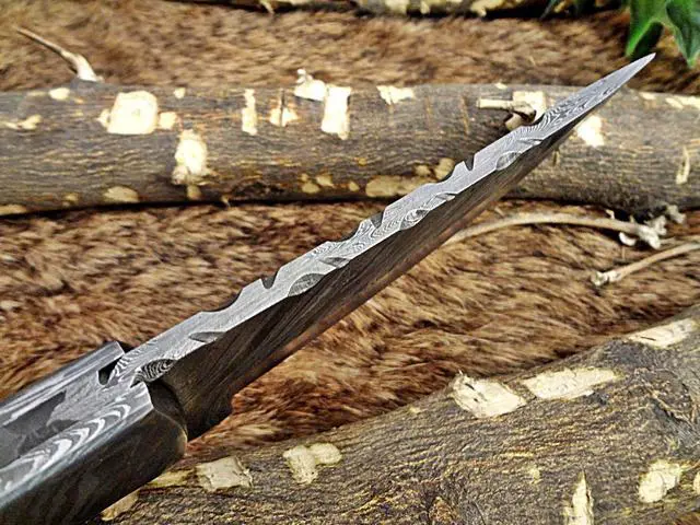 Alt view image 6 of 7 - 9.5" Long hand forged Damascus steel full tang blade skinning Knife, 2 tone black Dollar wood with Damascus bolster, Cow Leather sheath (Dollar wood)