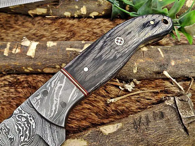 Alt view image 3 of 7 - 9.5" Long hand forged Damascus steel full tang blade skinning Knife, 2 tone black Dollar wood with Damascus bolster, Cow Leather sheath (Dollar wood)