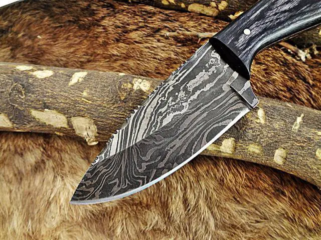 Alt view image 5 of 6 - 7.5" Long Damascus Steel Hand Forged Compact Skinning Knife, 4" Drop Point Full Tang Blade, 2 Tone Dollar Wood Scale, Cow Hide Leather Sheath