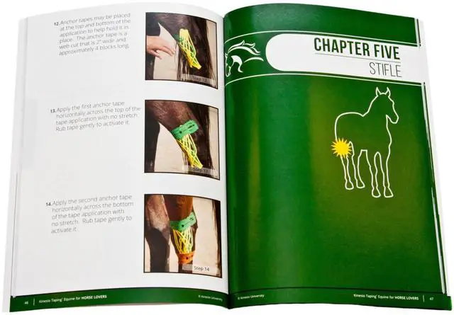Alt view image 2 of 5 - Kinesio Taping Method for Equine Manual: Kinesio Taping for Horse Lovers BKE