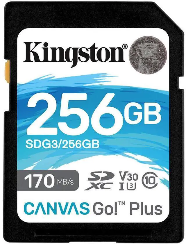 Alt view image 8 of 14 - Kingston Canvas Go! Plus 256 Gb Class 10/Uhs-I (U3) Sdxc