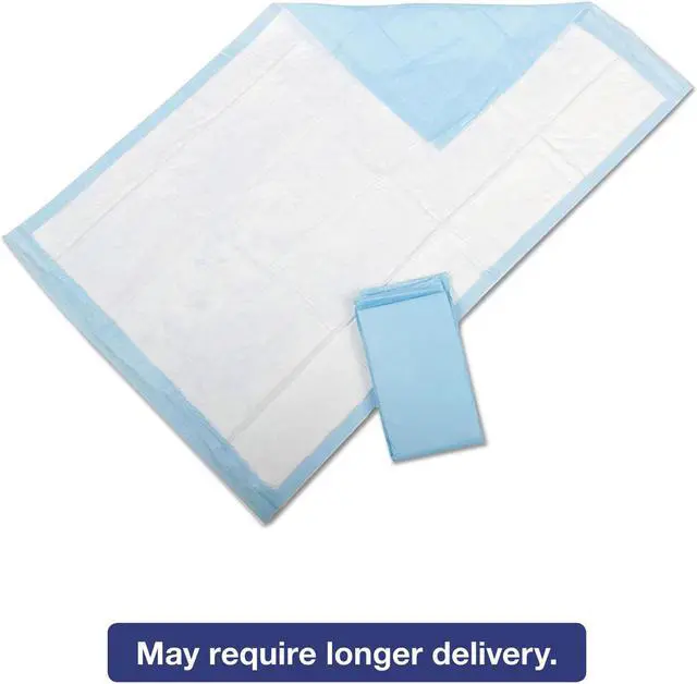 Main image of Protection Plus Disposable Underpads, 23 X 36, Blue, 25/bag